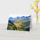 Pyreneeën, Frankrijk Kaart (Gele Bloem)