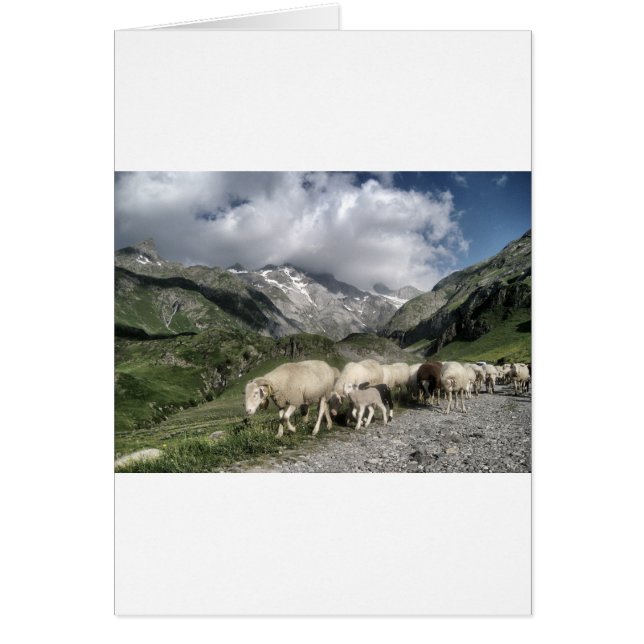 pyreneeën landschap (Voorkant)