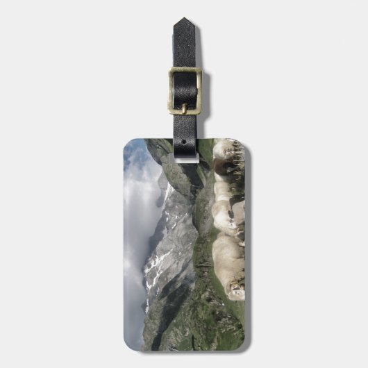 pyreneeën landschap bagagelabel (Voorkant verticaal)