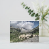 pyreneeën landschap briefkaart (Staand voorkant)