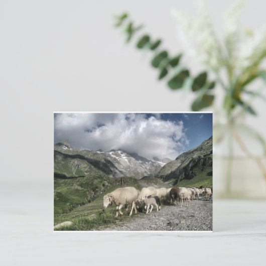 pyreneeën landschap briefkaart (Staand voorkant)