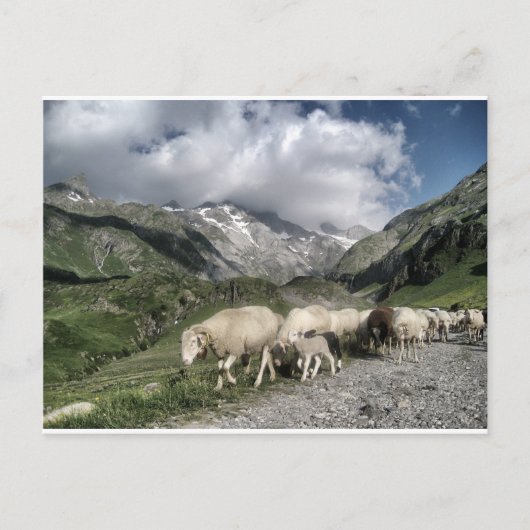 pyreneeën landschap briefkaart (Voorkant)