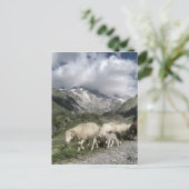 pyreneeën landschap briefkaart (Staand voorkant)