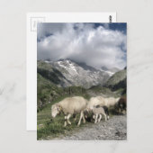 pyreneeën landschap briefkaart (Voorkant / Achterkant)