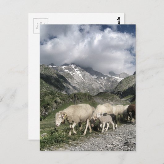 pyreneeën landschap briefkaart (Voorkant / Achterkant)