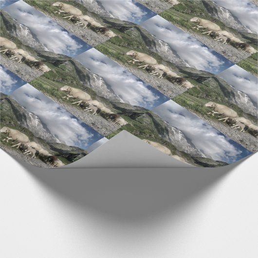 pyreneeën landschap cadeaupapier (Hoek)