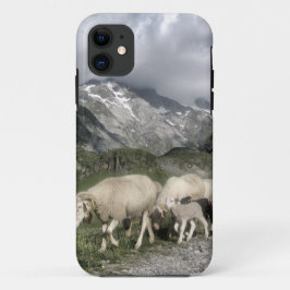 pyreneeën landschap iPhone 11 hoesje