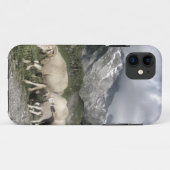 pyreneeën landschap Case-Mate iPhone case (Achterkant (horizontaal))
