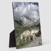 pyreneeën landschap fotoplaat (Zijkant)