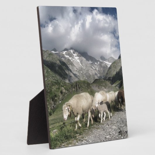 pyreneeën landschap fotoplaat (Zijkant)