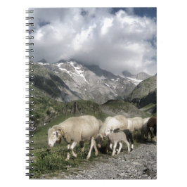pyreneeën landschap notitieboek