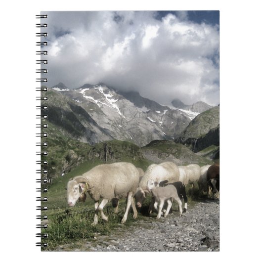 pyreneeën landschap notitieboek (Voorkant)