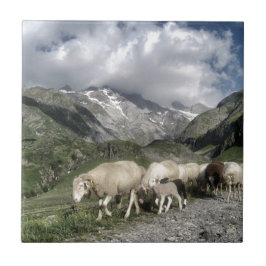 pyreneeën landschap tegeltje