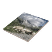 pyreneeën landschap tegeltje (Zijkant)