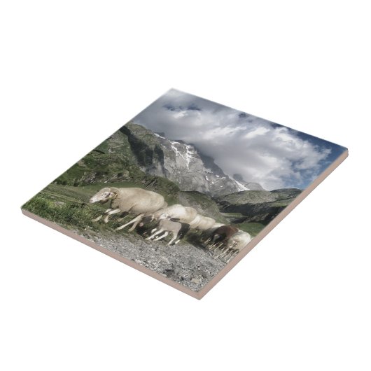 pyreneeën landschap tegeltje (Zijkant)