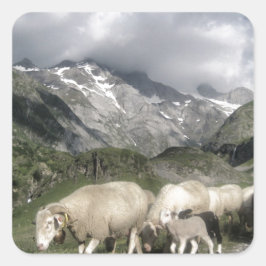 pyreneeën landschap vierkante sticker