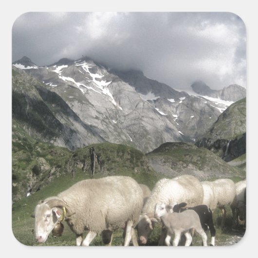 pyreneeën landschap vierkante sticker (Voorkant)