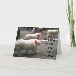 PYRENEEËN OP KERSTPARADE KAART