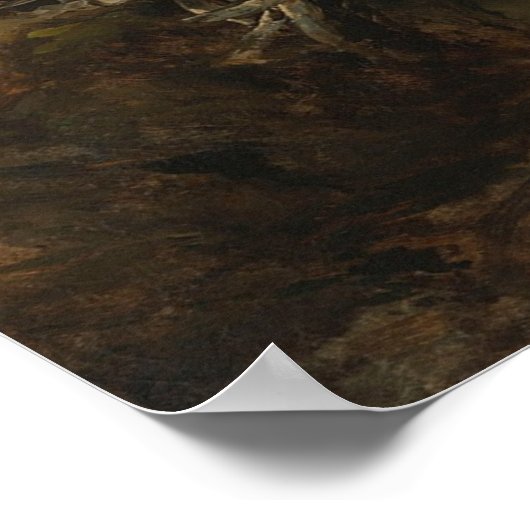 Pyreneeën Poster (Hoek)