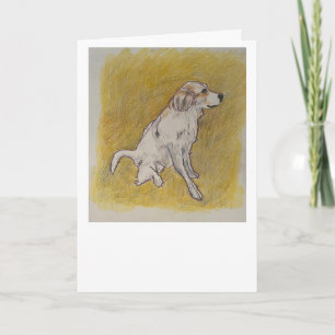 Pyrenees Hond Wenskaart Kaart