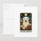 Pyreneese berghond briefkaart (Voorkant / Achterkant)