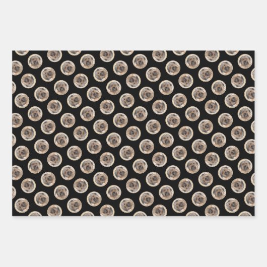 Pyreneese herder schilderij langharige fawn hond k inpakpapier vel (Voorkant 3)