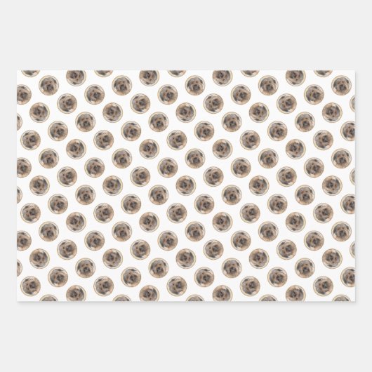 Pyreneese herder schilderij langharige fawn hond k inpakpapier vel (Voorkant 2)