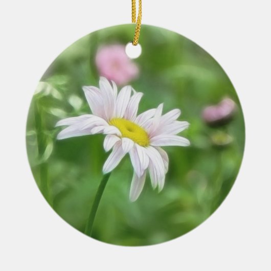 Pyrethrum Daisies - Tanacetumcoccineum Keramisch Ornament (Voorkant)