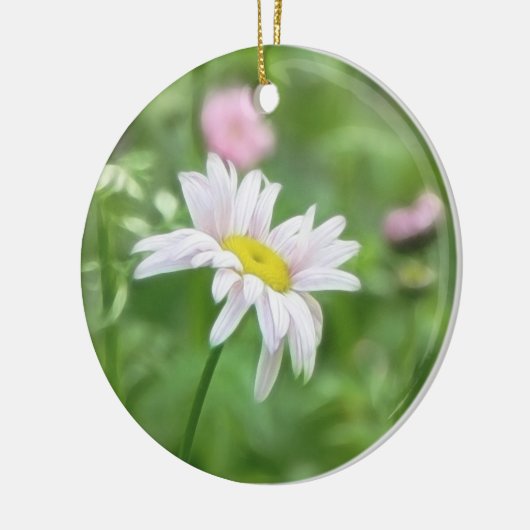 Pyrethrum Daisies - Tanacetumcoccineum Keramisch Ornament (Links)