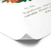 Pyrethrum sinense (Chrysanthemum) Poster (Hoek)