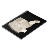 Pyriet kristallen in schalie notitieboek (Linkerzijde)