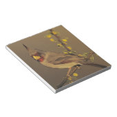 Pyrrhuloxia, Cardinalis sinuatus Notitieblok (Schuin)