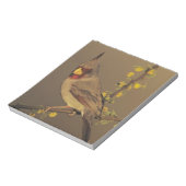 Pyrrhuloxia, Cardinalis sinuatus Notitieblok (Linkerzijde)