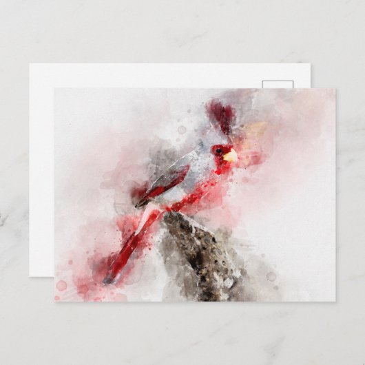 Pyrromoxia waterverf feestdagenkaart (Voorkant / Achterkant)