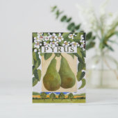 Pyrus Briefkaart (Staand voorkant)