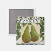 Pyrus Magneet (Voorkant / Achterkant)