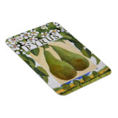 Pyrus Magneet (Rechterzijde)