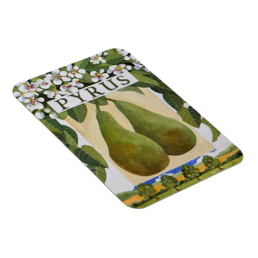 Pyrus Magneet (Rechterzijde)