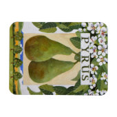 Pyrus Magneet (Horizontaal)