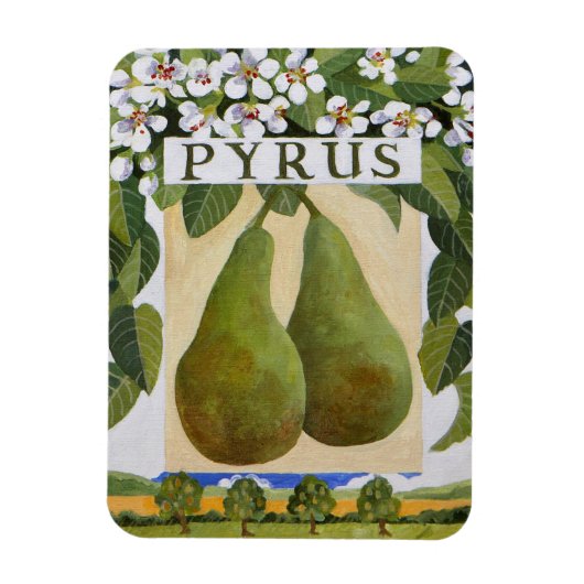 Pyrus Magneet (Verticaal)