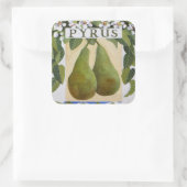 Pyrus Vierkante Sticker (Tas)