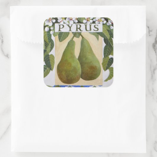 Pyrus Vierkante Sticker (Tas)
