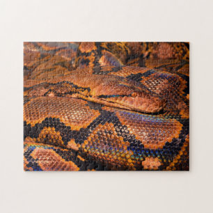 Python Boa Snake Legpuzzel