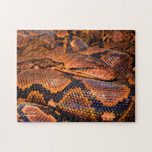 Python Boa Snake Legpuzzel (Horizontaal)