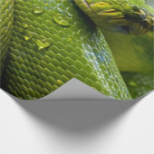 Python Cadeaupapier (Hoek)