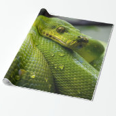 Python Cadeaupapier (Uitgerold)