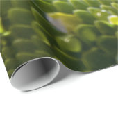 Python Cadeaupapier (Rol Hoek)