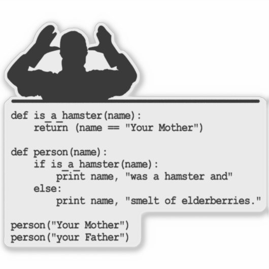 Python Code-Je moeder was een hamster Sticker (Voorkant)