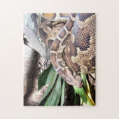 Python Legpuzzel (Verticaal)