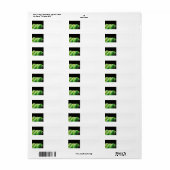 python met groene bomen etiket (Full Sheet)